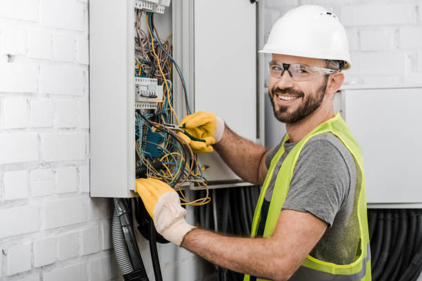 Best Electric Panel Repair  in Collinsville, VA
